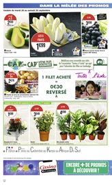 D'autres offres dans le catalogue "DANS LA MÊLÉE DES PROMOS" de Casino Supermarchés D'autres offres dans le catalogue "DANS LA MÊLÉE DES PROMOS" de Casino Supermarchés à la page 12
