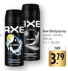 Alaska Bodyspray Angebote von Axe bei E center Leonberg für 3,79 €