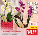 Orchideen Arrangement Angebote bei Netto Marken-Discount Braunschweig für 14,99 €