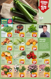 Blumen im REWE Prospekt in Weinheim Aktueller REWE Prospekt mit Blumen, "Dein Markt", Seite 7