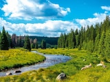 Netto Marken-Discount Scheßlitz - URLAUB IM BAYERISCHEN WALD Angebot im Prospekt URLAUB IM BAYERISCHEN WALD bei Netto Marken-Discount im Scheßlitz Prospekt für 229,00 €
