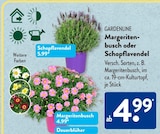 Angebot im ALDI SÜD Kronberg (Taunus) Prospekt ALDI SÜD Kronberg (Taunus) Prospekt mit im Angebot für 4,99 €