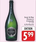 Prosecco Frizzante von Scavi & Ray im aktuellen E center Prospekt