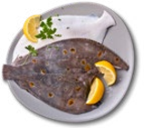 Scholle im Kaufland Prospekt Scholle im aktuellen Kaufland Prospekt für 1,69 €