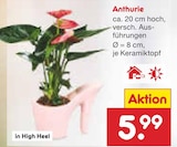 Netto Marken-Discount Brohl-Lützing Prospekt mit  im Angebot für 5,99 €