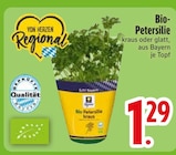 Bio-Petersilie kraus im Angebot bei EDEKA in Friedrichshafen Bio-Petersilie kraus Angebote bei EDEKA Friedrichshafen für 1,29 €