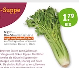 Aktuelles Bio-Staudensellerie Angebot bei tegut in Frankfurt (Main) ab 1,79 €