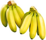 Mini Bananen Angebote von REWE Beste Wahl bei REWE Recklinghausen für 0,99 €