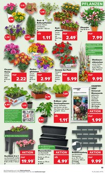 Pflanztopf im Kaufland Prospekt "Aktuelle Angebote" mit 52 Seiten (Essen)