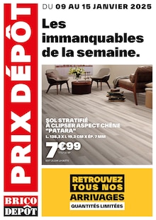 Prospectus Brico Dépôt de la semaine "Les immanquables de la semaine" avec 1 page, valide du 09/01/2025 au 15/01/2025 pour Lexy et alentours