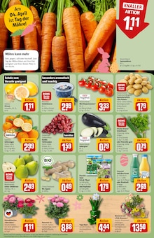 Pflanzen im REWE Prospekt "Dein Markt" mit 30 Seiten (Neuss)