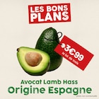 Avocat Lamb Hass dans le catalogue So.bio
