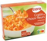 Gratin dauphinois - CORA en promo chez Carrefour Montrouge à 5,04 €