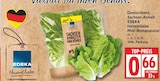Heimatliebe Mini-Romanasalat von EDEKA für 0,66 € bei EDEKA im Angebot Heimatliebe Mini-Romanasalat von EDEKA im aktuellen EDEKA Prospekt
