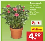 Rosenbusch von  im aktuellen Netto Marken-Discount Prospekt für 4,99 €