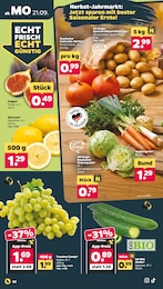 Gurken Angebot & Preis im aktuellen Netto mit dem Scottie Prospekt Gurken Angebot im aktuellen Netto mit dem Scottie Prospekt auf Seite 2