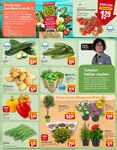 Tomaten Tomaten