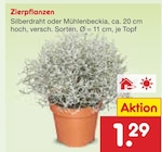 Aktuelles Zierpflanzen Silberdraht Angebot bei Netto Marken-Discount in Erlangen ab 1,29 €