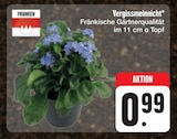 Vergissmeinnicht bei E center im Neuenmarkt Prospekt für 0,99 €