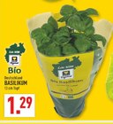 Aktuelle Kräuter Angebote bei Marktkauf in Köln Aktuelles Basilikum Angebot bei Marktkauf in Köln ab 1,29 €