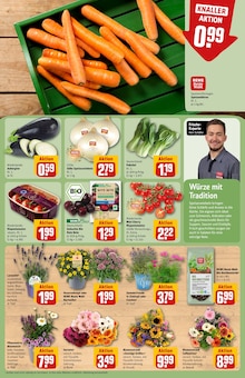 Blumen im aktuellen REWE Prospekt (Lübeck) Blumen im REWE Prospekt "Dein Markt" mit 34 Seiten (Lübeck)