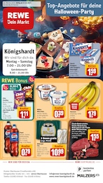 REWE Prospekt für Bottrop mit 33 Seiten REWE Prospekt "Dein Markt" für Bottrop, 33 Seiten, 27.10.2025 - 01.11.2025