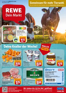 REWE Prospekt für Bad Urach mit 25 Seiten REWE Prospekt für Bad Urach: Angebote im Markt, 25 Seiten, 22.11.2021 - 27.11.2021