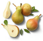 Aktuelle Birnen Angebote bei Kaufland in Duisburg Aktuelles Südafrik. Tafelbirnen rot Angebot bei Kaufland in Duisburg ab 1,49 €