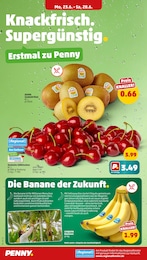 Kiwi Angebot im aktuellen Penny Prospekt auf Seite 2