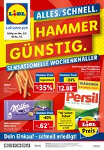 Lidl Prospekt für Potsdam mit 44 Seiten Lidl Prospekt für Potsdam: "Dein Einkauf - Schnell erledigt!", 44 Seiten, 02.11.2020 - 07.11.2020