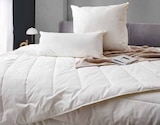 Aktuelle Kopfkissen Angebote bei Zurbrüggen in Hamm Aktuelles Kopfkissen Vegan Dream Angebot bei Zurbrüggen in Hamm ab 34,99 €