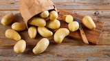 Kartoffeln im REWE Prospekt Speisekartoffeln »Die Feinen« von REWE Beste Wahl im aktuellen REWE Prospekt für 1,99 €