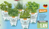 Bio Basilikum von Demeter für 1,49 € bei E center im Angebot Bio Basilikum von Demeter im aktuellen E center Prospekt