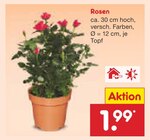Rosen im aktuellen Prospekt bei Netto Marken-Discount in Rieden