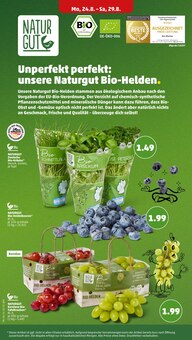 Rollbraten im Penny Prospekt "Wer günstig will, muss Penny." mit 36 Seiten (Chemnitz)