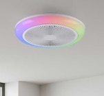 Plafonnier brenda avec ventilateur dimmable - Möbel Martin à Metz Plafonnier brenda avec ventilateur dimmable en promo chez Möbel Martin Metz à 39,99 €