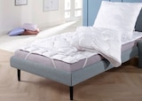 Betten-Set im Angebot bei Penny in Fulda Betten-Set Angebote von Schlaf-Gut bei Penny Fulda für 14,99 €