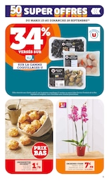 Offre Fleurs dans le catalogue U Express du moment à la page 9