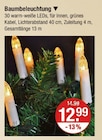 Baumbeleuchtung im aktuellen V-Markt Prospekt für 12,99 €