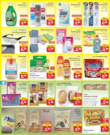 Katzenfutter im Zimmermann Prospekt "Aktuelle Angebote" mit 12 Seiten (Magdeburg)