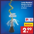 Aktuelles Lucky Bamboo Angebot bei Netto Marken-Discount in Nürnberg ab 2,99 €