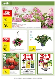 Offre Plant De Tomates dans le catalogue Carrefour du moment à la page 64