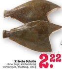 Aktuelles Frische Scholle Angebot bei E center in Mainz ab 2,22 €