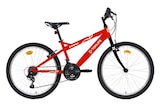 VTT 24'' First Garçon - TOPLIFE en promo chez Carrefour Savigny-le-Temple à 144,99 €