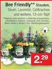 Zimmermann Sehnde - Bee Friendly Stauden Angebot im Prospekt Bee Friendly Stauden bei Zimmermann im Sehnde Prospekt für 2,29 €