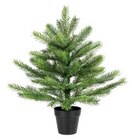 Aktuelle Weihnachtsbaum Angebote bei Trends in Brühl Aktuelles Weihnachtsbaum GRANDIS Angebot bei Trends in Brühl ab 7,92 €