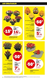 Offre Chrysanthèmes dans le catalogue Super U du moment à la page 36