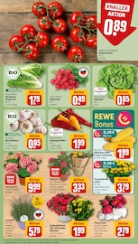 Blumen im REWE Prospekt in Essen Aktueller REWE Prospekt mit Blumen, "Dein Markt", Seite 7
