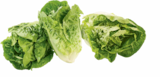 Mini Romana Salat bei Netto Marken-Discount im Prospekt "" für 1,00 €