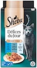 Délices du Jour pour chat - Sheba en promo chez Colruyt Délices du Jour pour chat - Sheba dans le catalogue Colruyt